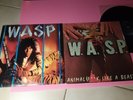 WASP Inside The Electric Circus LP  Poster-Animal F Like a beast FRANKIE LAWLESS