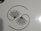 GODSPEED YOU BLACK EMPEROR - G D's Pee At State's End  - Vinyl (2xLP)