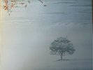 GENESIS - Wind & Wuthering VINYL LP 2016 Charisma Exc Cond