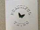 The Stone Roses Beautiful Thing Limited First Press Vinyl