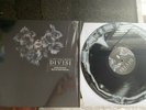 A Lot Like Birds - Divisi - Vinyl