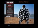 Pink Floyd - Delicate Sound Of Thunder - (Vinyl) NEU