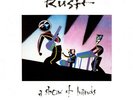 Rush - A Show Of Hands (2xLP, Album, Gat)
