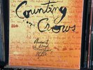 Counting Crows – August And Everything After 180gram 2LP Vinyl NEW & SEALED