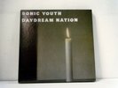 SONIC YOUTH 4 Vinyl LP Box Set Daydream Nation Deluxe 1991 Goofin  RE  vinyl