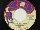 Funk Breaks 45 - Freddie Scott - (You) Got What I Need - Shout - mp3