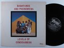 BABATUNDE & PHENOMENA Levels Of Consciousness THERESA LP VG+