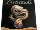 WHITESNAKE 