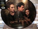 Twilight Saga New Moon Soundtrack   Hot Topic Picture Disc Vinyl EP   Brand New
