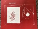 Pink Floyd - Survivor Vinyl LP