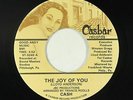Modern/Sweet Soul 45 - Cash - The Joy Of You - Casbar - VG+ mp3