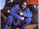 Apache - Apache Ain't Shit '93 LP US ORG  Large Professor A.T.C.Q.
