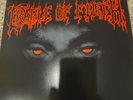 Cradle Of Filth From The Cradle To Enslave