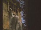 Dead Can Dance ‎- Within The Realm Of A Dying Sun LP - Vinyl Album - NEW RECORD