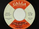 Northern Soul 45 - Jean Wells - With My Love And What You've Got - Calla - mp3