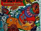 The Beach Boys Sunshine Dream, LP,  1982 Capitol SVBB-12220, EXCELLENT Condition