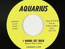 Sweet Soul 45 - Candace Love - I Wanna Get Back - Aquarius - VG+ mp3