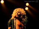 Led Zeppelin - Live At Madison Square Garden July 1973 (New Sealed LP)