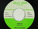 Sweet Soul 45 - Willie & The Nombres - Loving You - Lorain Sound - VG+ mp3