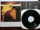 ROY HARPER LP ' BURN THE WORLD ' ( 1990 ) NR MINT