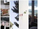 New Music Counterparts 