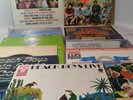 beach boys  vinyl  lp 11 record lot 