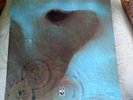 PINK FLOYD - MEDDLE - LP - sehr guter Zustand