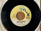 Bass Rap 45 - 2 Live Crew - Get it Girl - Luke Skyywalker LS-100 - VG+