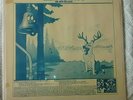 LITTLE FEAT Electrif Lycanthrope (Live 1975, TAKRL 1942) 1970's Import Album LP