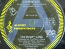 Ted Mulry Gang Steppin Out Promo Original Australia pressing 45 single
