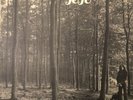 PSYCHEDELIC ROCK Jojo - Jojo LP (1972) Polydor NETHERLANDS VG+