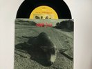 PEARL JAM Sonic Reducer 90s grunge rock Xmas Fan Club 45 Near Mint
