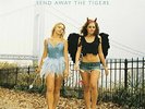 MANIC STREET PREACHERS Send Away The Tigers VINYL 2LP BRAND NEW 180 Gram