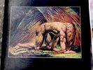 Atomic Rooster- Death Walks Behind Me-- Orange Vinyl Used