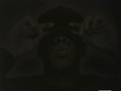 New  Jay-Z - The Black Album - Vinyl (Distressed Packaging)