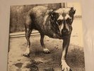 alice in chains self titled original US Press vinyl C2 67248