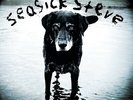 Seasick Steve - You Can't Teach an Old Dog New Tricks Vinyl