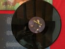Lucio Corsi bestiario musicale raro disco vinile 33 giri