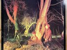 Echo And The Bunnymen - Crocodiles 1980 Uk Vinyl LP KODE1