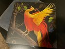 Munly & the Lee Lewis Harlots 2 X LP Jay Slim Cessna’s Auto Club RARE OOP Signed
