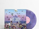 Mt Joy Rearrange Us Exclusive Transparent Purple Smoke Colored Vinyl LP