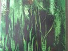 Wood/water by The Promise Ring (Record, 2018) Clear