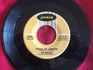 Cadillacs, Josie 861, Please Mr Johnson & Cool It Fool, More novelty group songs