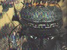 The Open Mind NEAR MINT Thorns Vinyl LP