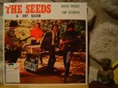 THE SEEDS & SKY SAXON Bad Part Of Town LP/1961-'70 Garage Psych/Rare Seeds Sides