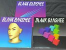 Blank Banshee 0, 1 and MEGA Vinyl NEW Bundle Vaporwave Hologram Bay