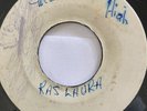 Roots RAS LAURA + SONS OF NEGUS Mount Zion High 45 SKA New Land 7