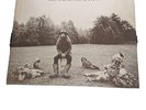 George harrison all things must pass vinyl 1970