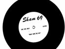 SHAM 69   What Have We Got  Original 1978 UK single-sided PROMO 7