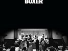 National, The - Boxer Vinyl Record